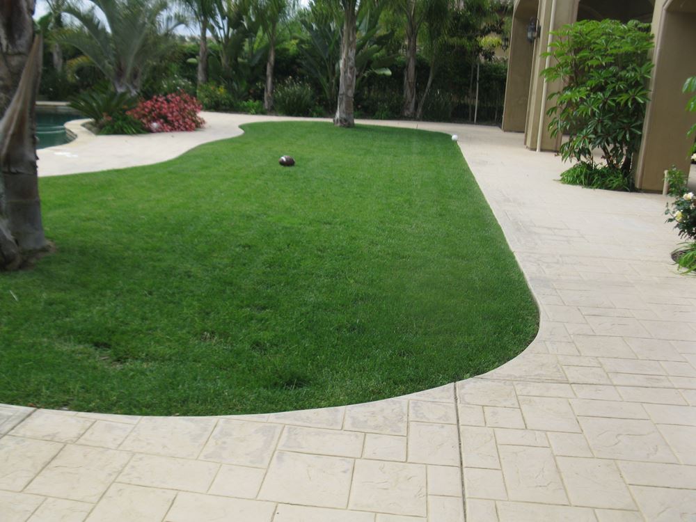 Artificial and Real Grass