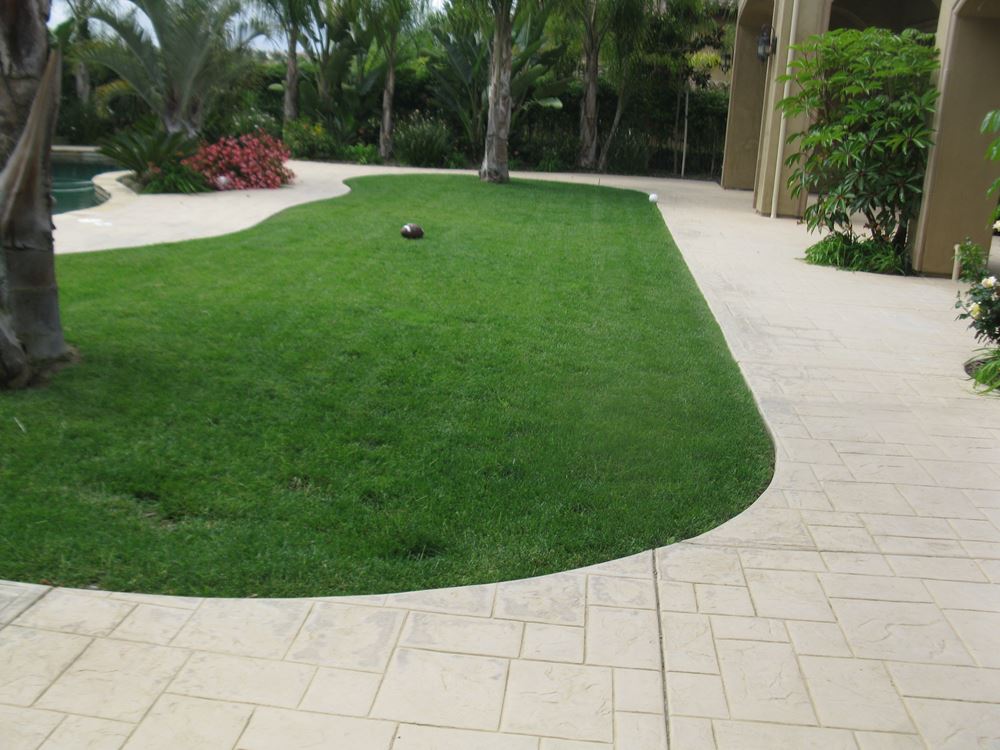 Exterior Designs Landscape | What is the Difference Between Artificial and Real Grass?