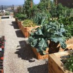 Exterior Designs Landscape | Vegetable Boxes