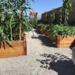 Exterior Designs Landscape | Vegetable Boxes