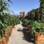 Exterior Designs Landscape | Vegetable Planters