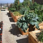 Exterior Designs Landscape | Vegetable Planters